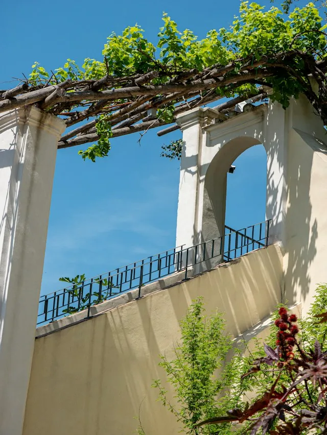 Amenagement jardin terrevive paysage