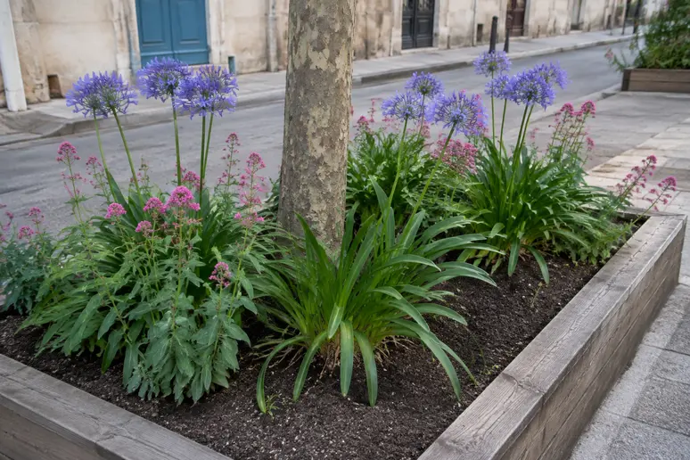 Pied d'arbre végétalisé avec des vivaces sobres en eau en milieu urbain