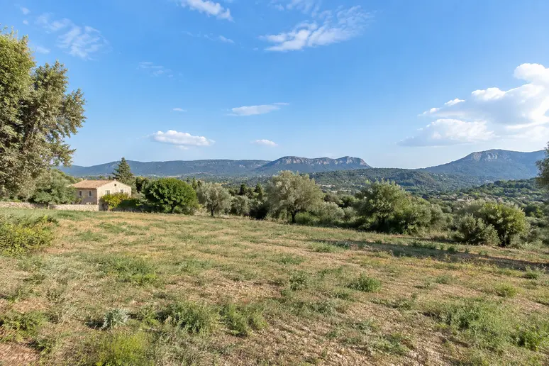 Vue d'un terrain constructible et de son environnement naturel dans le sud de la France