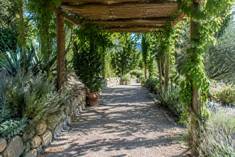 Allée en gravier et pergola ombragée pour organiser les zones d'un jardin méditerranéen.