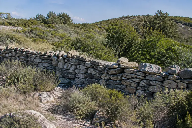 Muret en pierre sèche dans la garrigue protégé par le Code de l'environnement contre toute destruction.