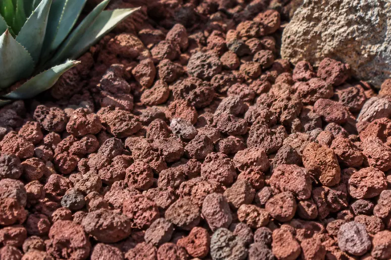 Pouzzolane rouge et poreuse utilisée comme paillage minéral dans un massif sec