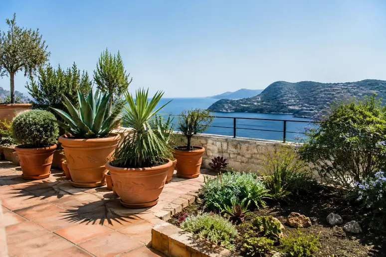 Pots en terre cuite et zone plantée sur une terrasse baignée de soleil