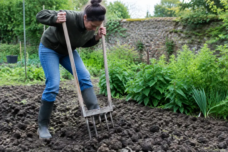 Jardinier utilisant une grelinette pour ameublir un sol argileux lourd avant la plantation
