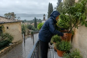 Un jardinier déplace des pots sur un balcon pour protéger les végétaux lors des épisodes cévenols.